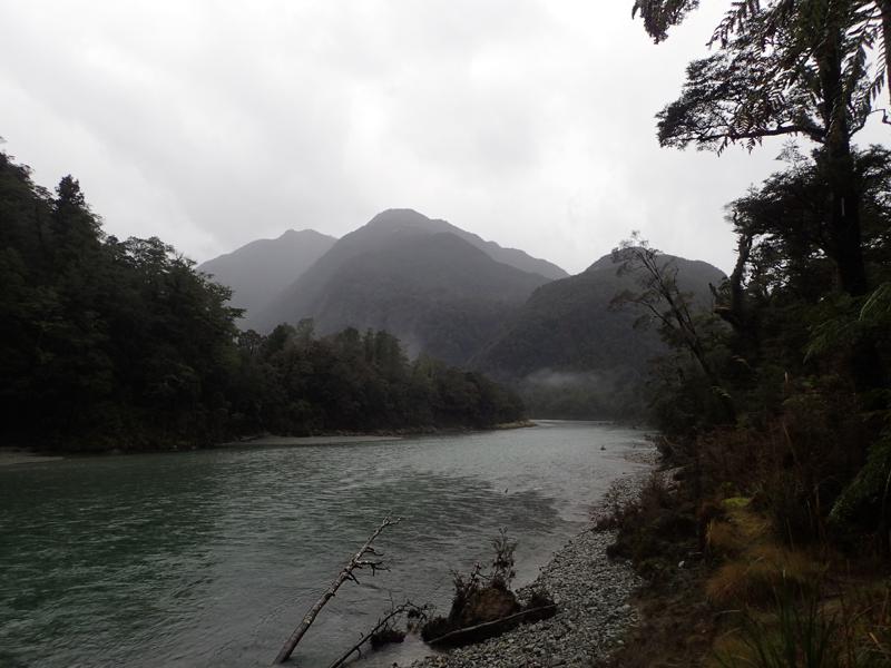 river with tree covered mountains behind