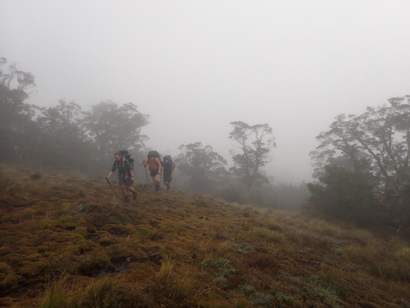 3 hikers climbing a steep mossy slope in cloud