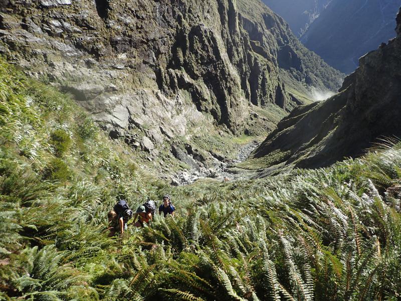 3 hikers climbing up steep grassy slopes in sunshine