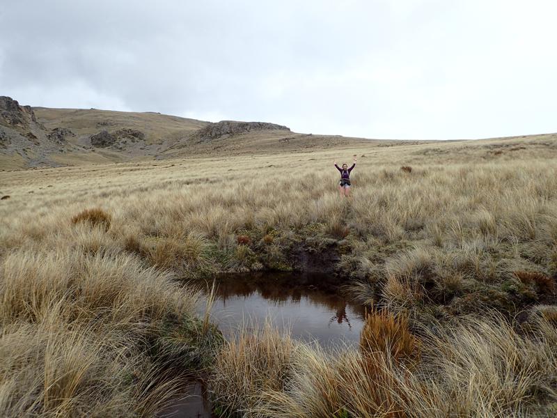 a hiker walking down a tussock slope