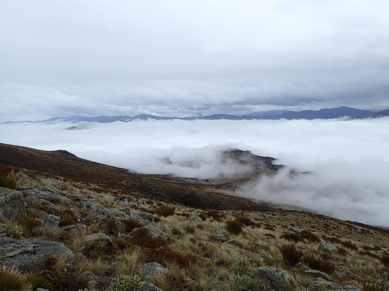 mountain side with cloud below