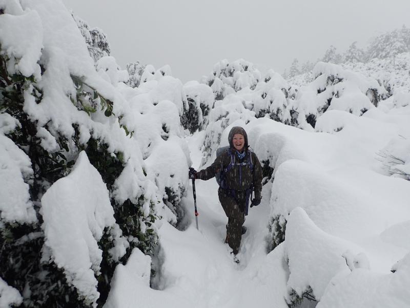 a hiker on a very snowy trail