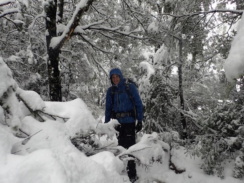 a hiker in snowy trees