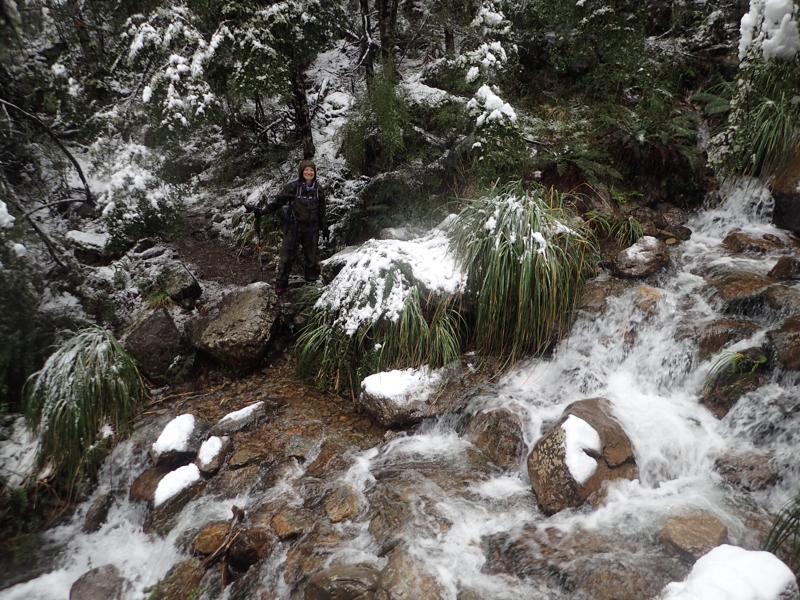 a hiker at the edge of a small creek