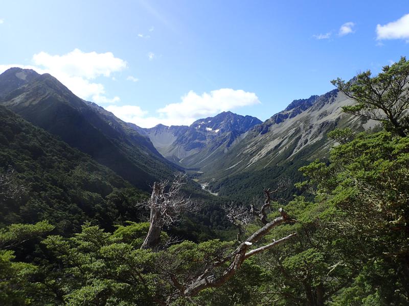 a green alpine valley