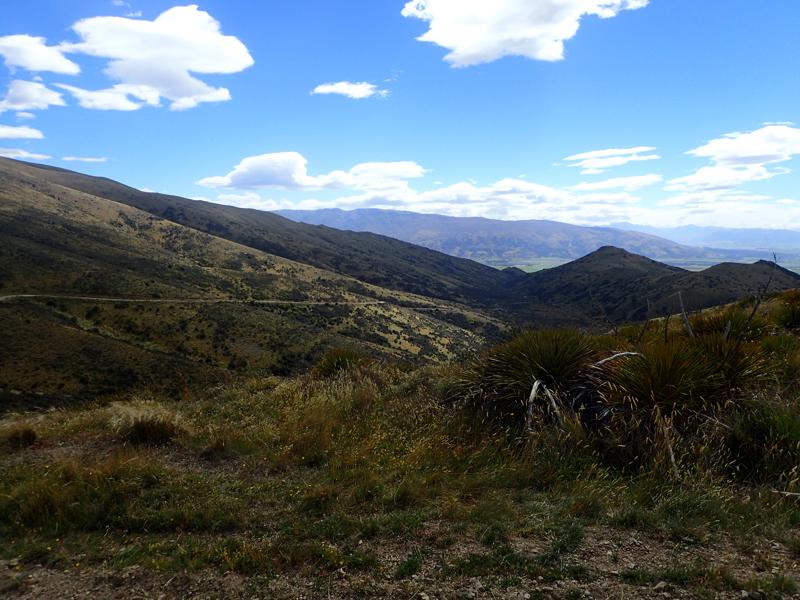 Mountain road descending into a valley with blue skies above