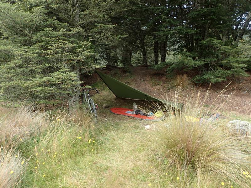 A tarpaulin and bike in wooded area