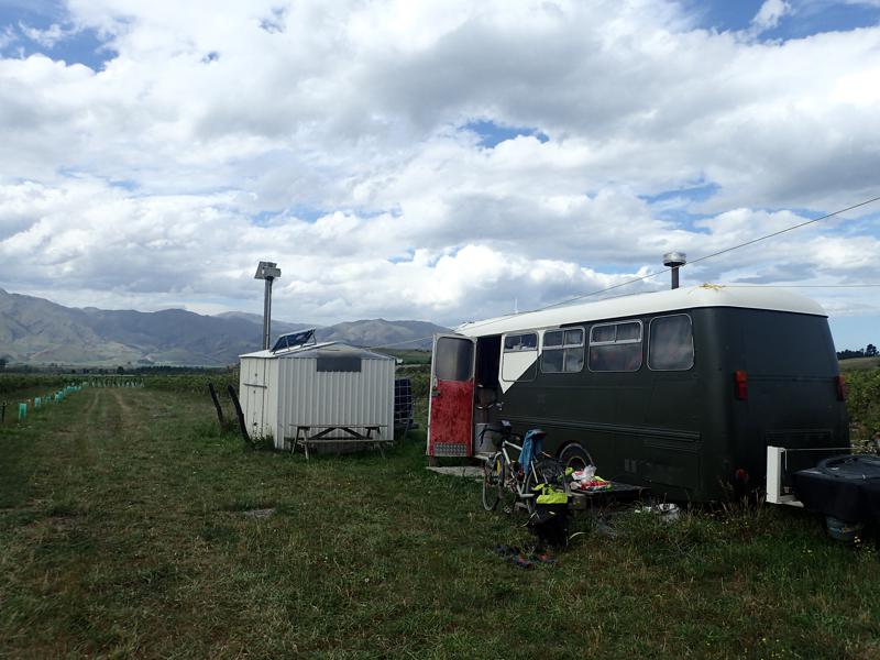 Bus in a field with vines behind